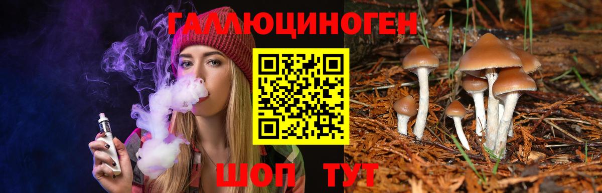 Галлюциногенные грибы прущие грибы Тара